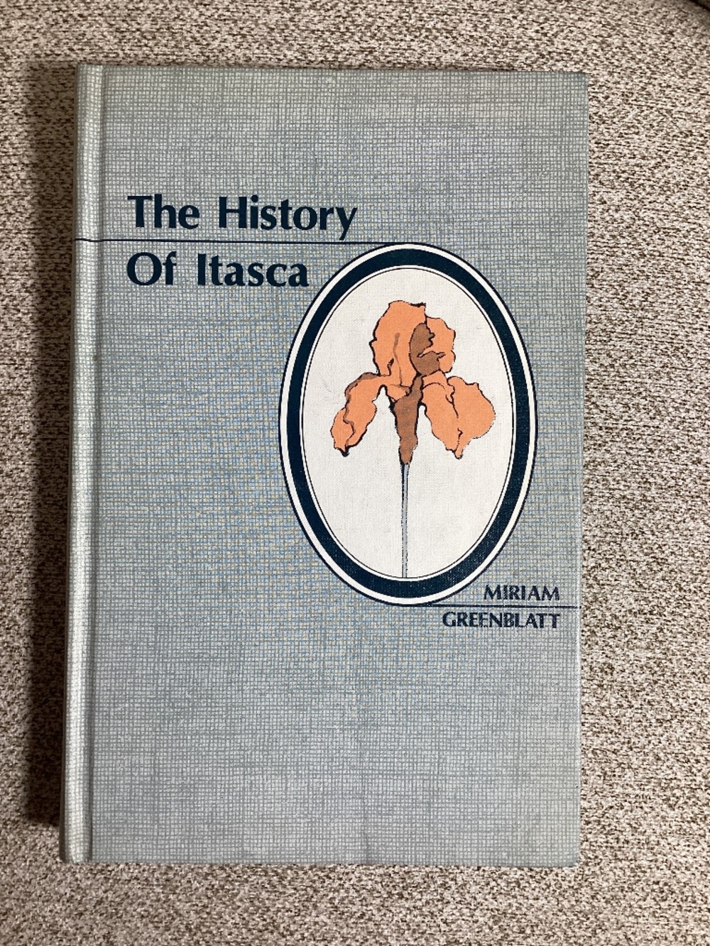 The History of Itasca